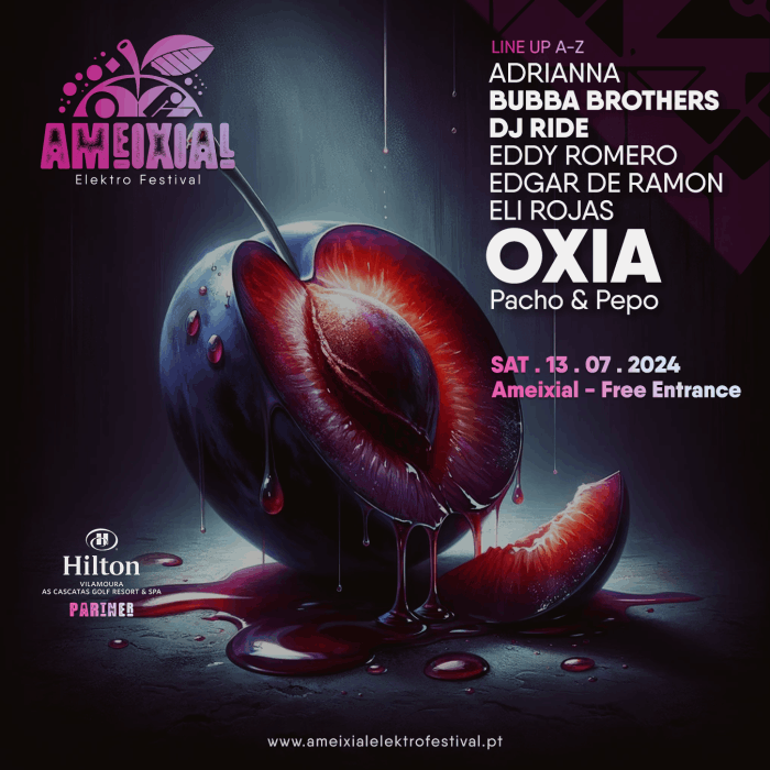 Ameixial Elektro Festival